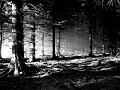 08 Shades of Grey Copyright Villayat Sunkmanitu